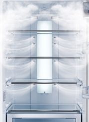 Холодильник SAMSUNG RL55VTEBG1/BWT