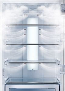 Холодильник SAMSUNG RL55VTEMR1/BWT