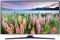 LED Телевизор SAMSUNG UE32J5100