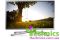 LED Телевизор SAMSUNG UE40F6200